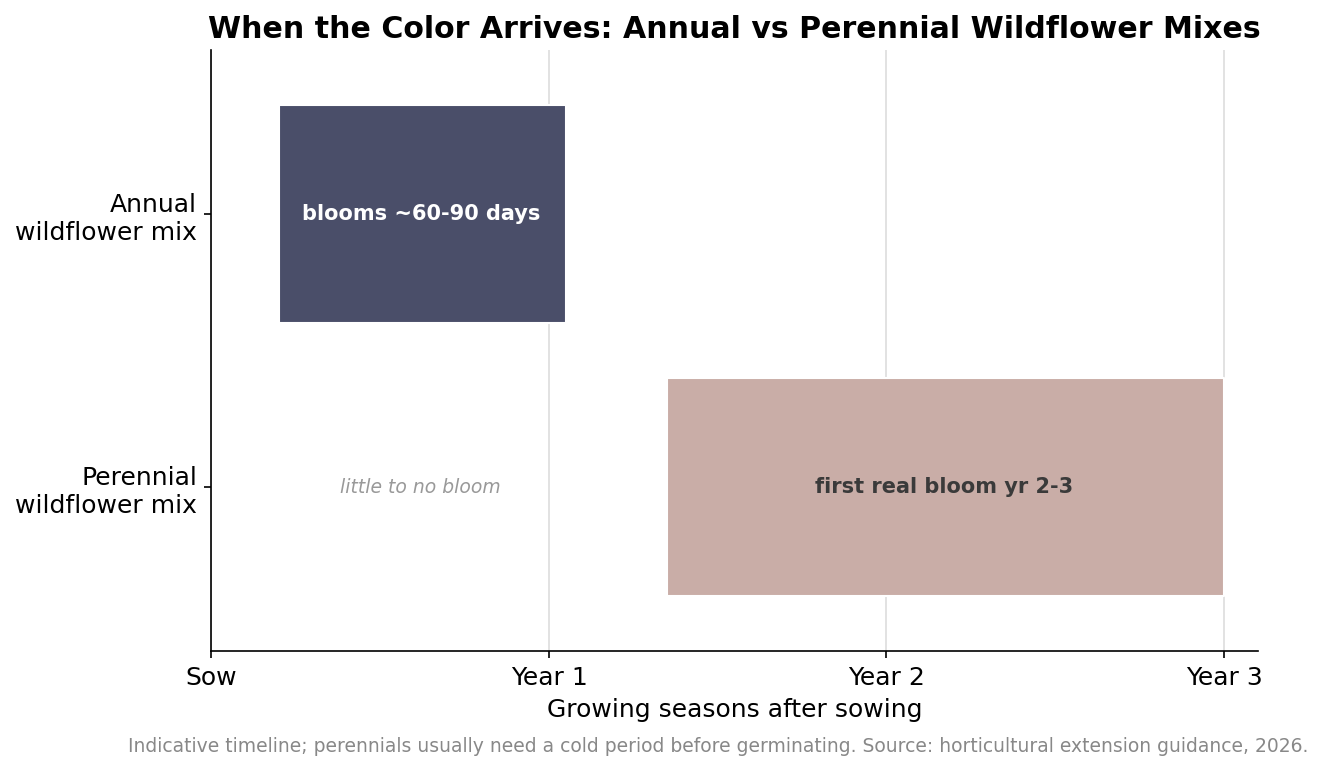 Timeline chart comparing when annual and perennial wildflower mixes come into bloom across the first three growing seasons